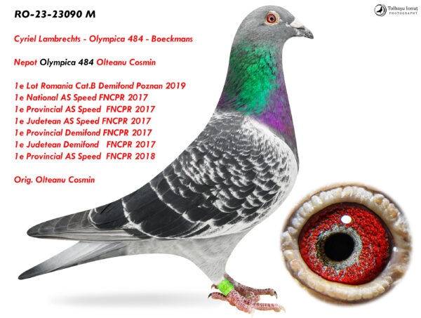 RO-23-23090 M