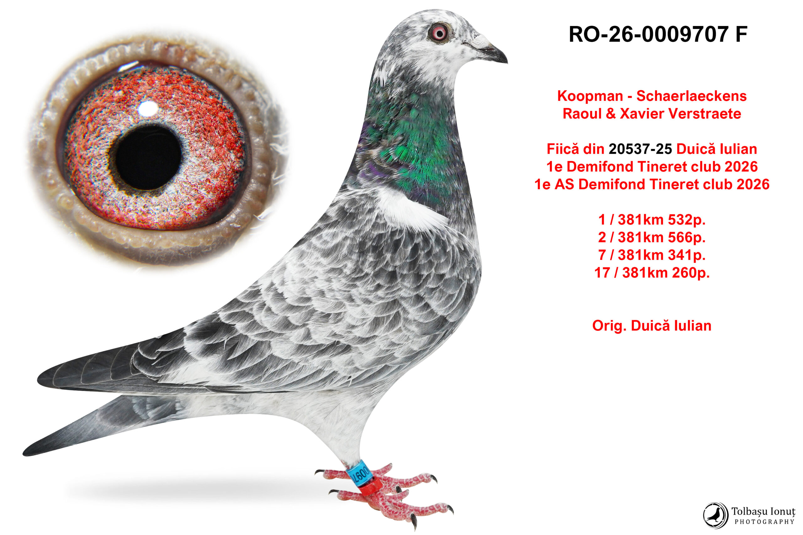 RO-26-0009707 F