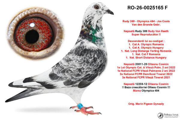 RO-26-0025165 F