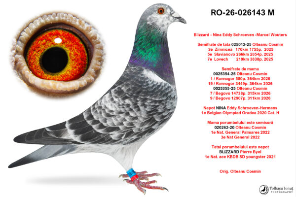 RO-26-026143 M