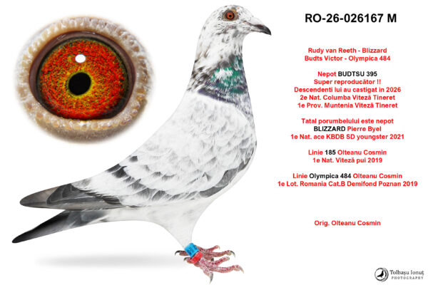 RO-26-026167 M