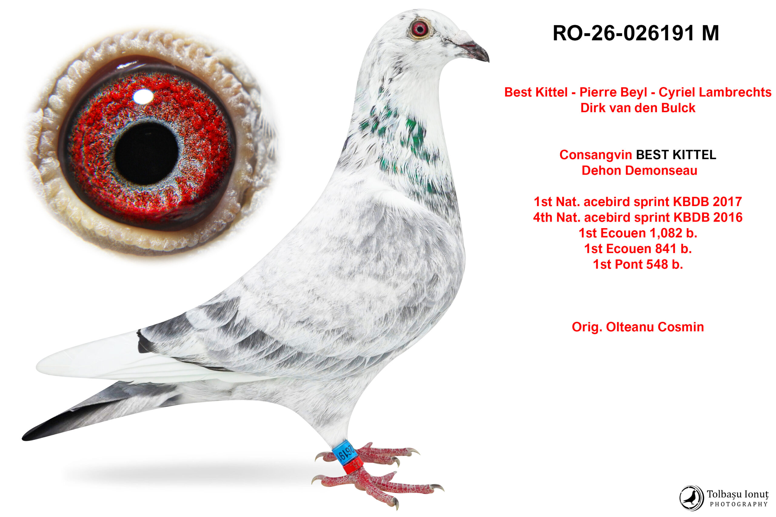 RO-26-026191 M