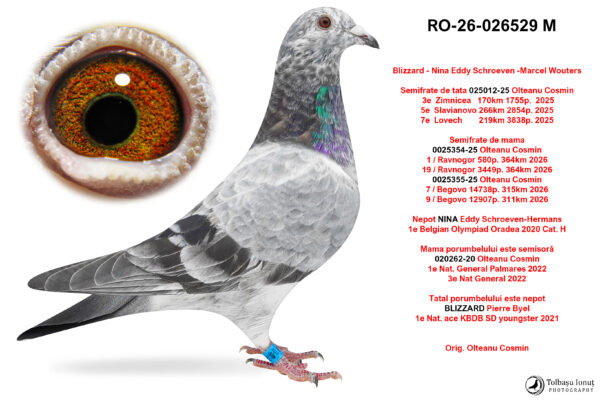 RO-26-026529 M