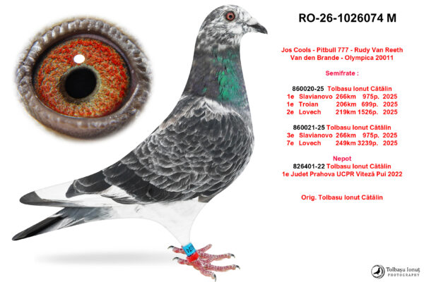 RO-26-1026074 M