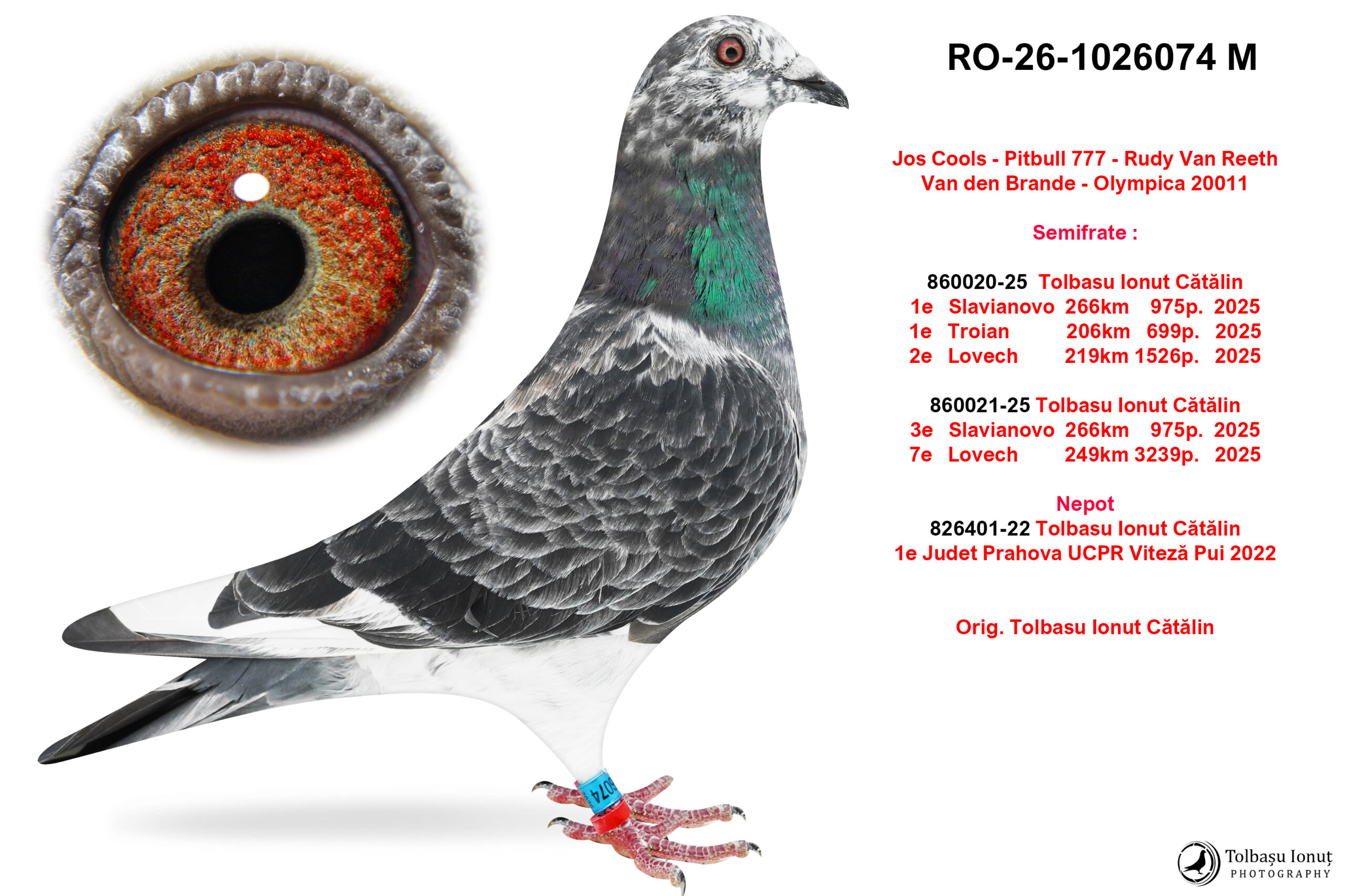 RO-26-1026074 M