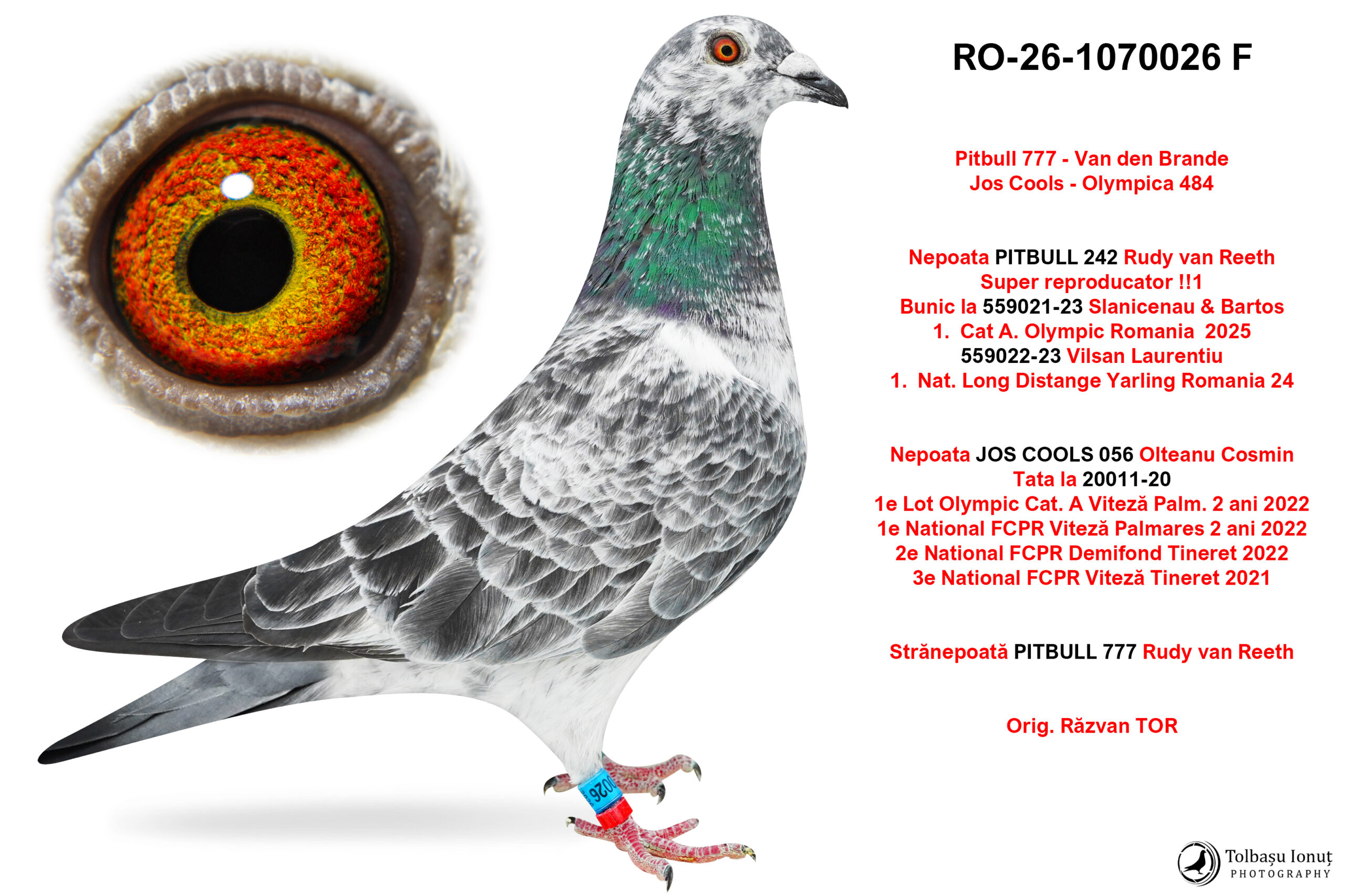 RO-26-1070026 F